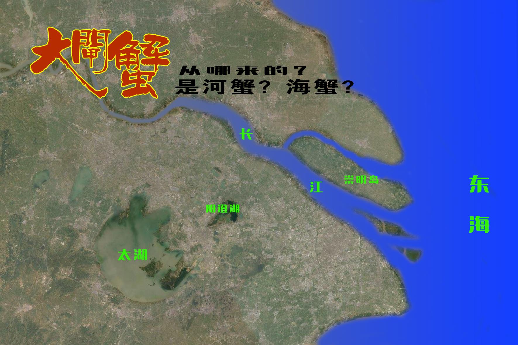 公寓蟹