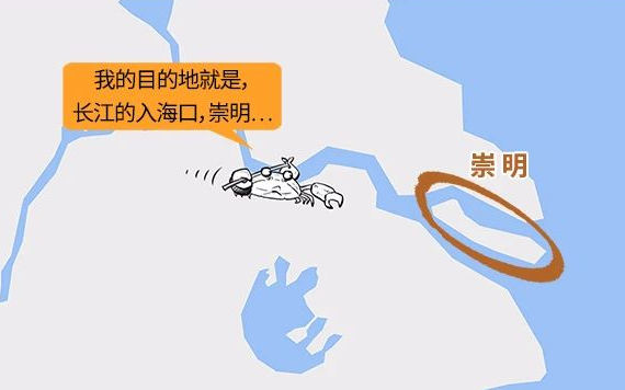 公寓蟹