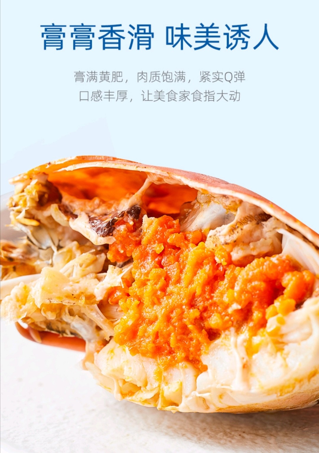 公寓蟹